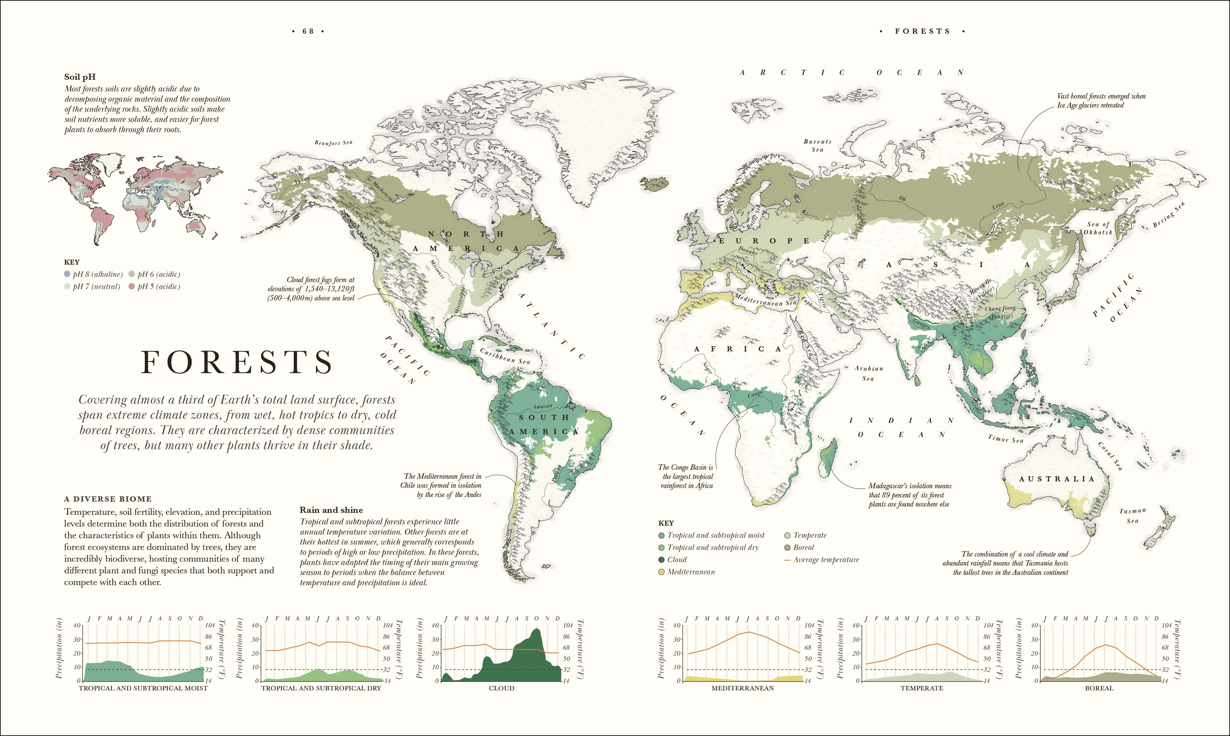Atlas of Botany - Image 8