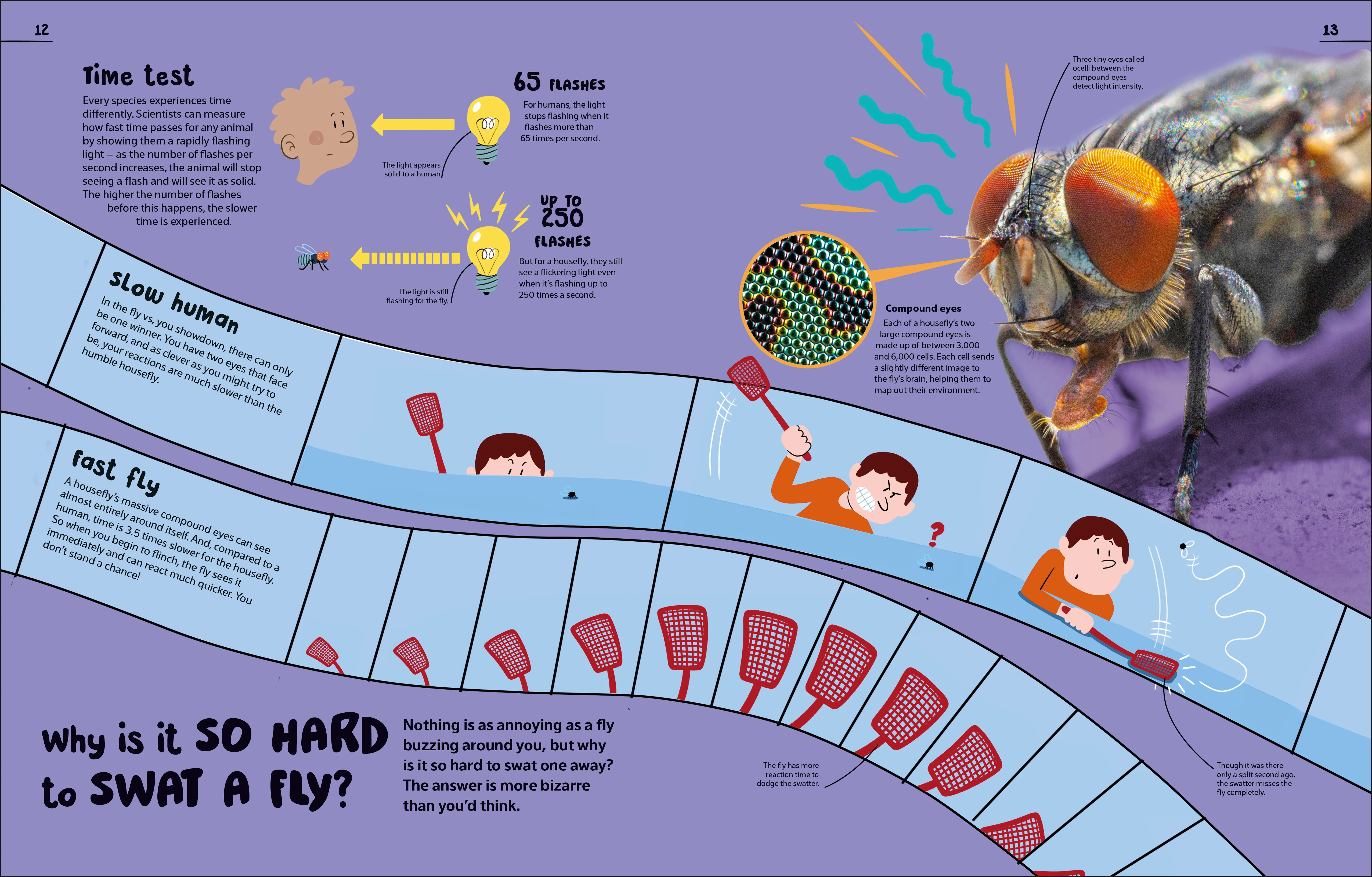An Excellent Encyclopedia of Your Senses - Image 7