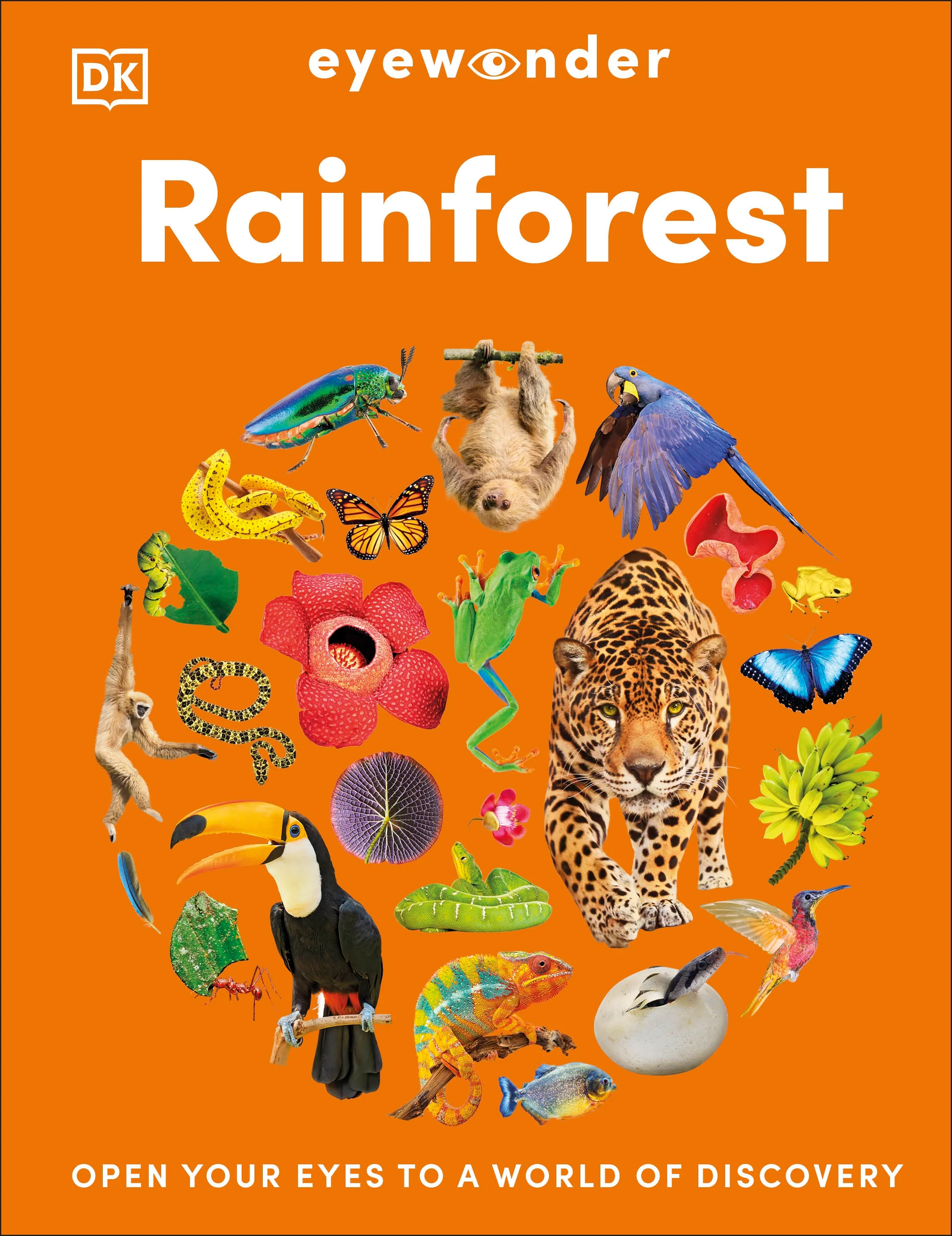 Eyewonder Rainforest